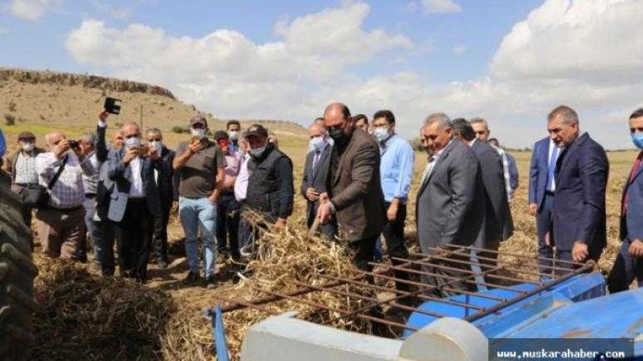 Üstün 42 cinsi fasulye tanıtıldı