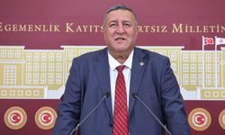 CHP Milletvekili Ömer Fethi Gürer, Kamu Hastanelerindeki Doktor Açığına Dair Soru Önergesini Sağlık Bakanı Kemal Memişoğlu yanıtladı.