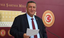 Gürer: "İş Cinayetlerinde Avrupa Birincisiyiz"