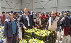 Gürer: “Don, meyve ihracatını da vurdu”