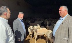 Gürer: “Emekli maaşı ile kurban alınamazken asgari ücrete de kurbanlık koyun zor”