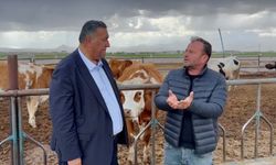 Gürer: “Çiğ süt krize doğru koşuyor”