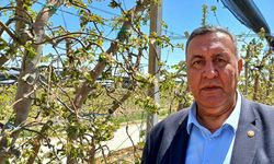 CHP Niğde Milletvekili Ömer Fethi Gürer: “Zirai don ile sosyal çöküş yaşanmaması için önlemler acil alınmalıdır.”