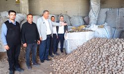 Patates küçük çiftçiyi güldürmedi