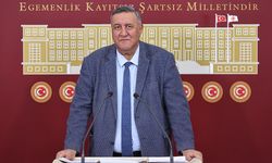 ŞARBON, ŞAP VE BRUSELLA HAYVANCILIĞIN BAŞINA BELA!