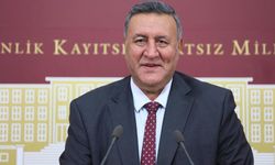 Gürer: “Yaş çay alım fiyatına ek destek verilmelidir"