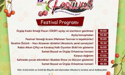 🎉 Aksalur Kiraz Festivali Geri Dönüyor!