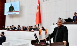 GÜRER: “İNEĞE GAZ ÇIKARDI DİYE CEZA MI KESECEKSİNİZ?"