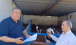 Besici: “Bölgemizde 20 besiciden geriye 1-2 kişi kaldı”