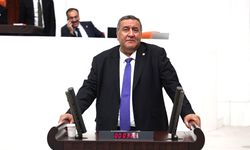 Gürer: “Doğanın dengesi ile oynamayın”