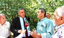 Gürer: “Dalda ürünü don vurması raf fiyatlarını uçurdu”