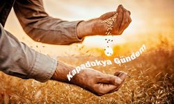 Hububat piyasasında fiyatlar geriledi