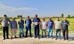 Gürer: “Tarımda güvenceli çalışan sayısı çakıldı”