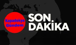 Nevşehir Valisi Ali Fidan: “Sokak köpekleri gündemden çıkarıldı”