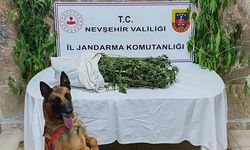 Nevşehir’de Kenevir Baskını: Kilolarca Uyuşturucu Ele Geçti!
