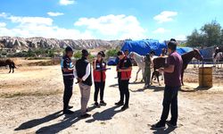 Kapadokya Alan Başkanlığı Kaçak At Çiftliklerine Göz Açtırmıyor