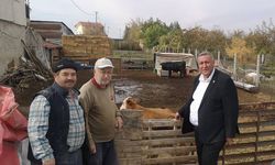 Besici Özmen: “Hayvancılık Sürdürecek Halimiz Kalmadı”