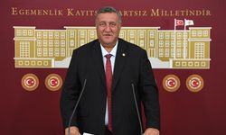 CHP Niğde Milletvekili Ömer Fethi Gürer, artan gıda zehirlenmelerine karşı iktidarı uyardı.