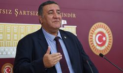 GÜRER: “ALKOLLÜ İÇKİ VE ŞANS OYUNU VERGİLERİ UÇTU”