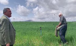 CHP Niğde Milletvekili Ömer Fethi Gürer, TÜİK’in verileri değerlendirdi.