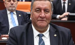 Gürer: “Her ilde doğalgaz var da sobadan zehirlenip ölümler bitmiyor”