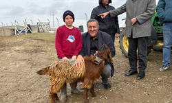 Gürer: Köylü üretiyor ama yalnız bırakılıyor