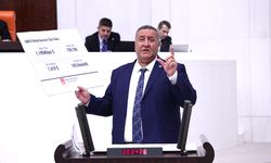 Hayvancılık her geçen gün sorunlu hâle geliyor