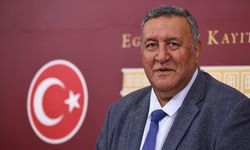 Çiftçi çekle, besici yemle uğraşıyor.