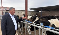 Ömer Fethi Gürer: “2025’te 739 Bin Baş Hayvan İthal Edildi”