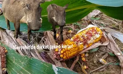 Nevşehir’de dikkat çeken karar!