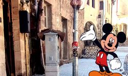 “Medaş Kaş yapalım derken göz çıkartma misali?”