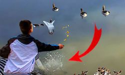 Avanos’ta Skandal: Kızılırmak Kanalizasyona Teslim, Yetkililer Nerede?