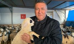 “17 Bin Kilometreden Et, Vatandaşa Hâlâ Ulaşmıyor: Gürer’den İthalat Politikalarına Sert Tepki”