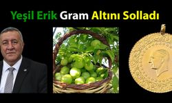 Gürer: “Yeşil Erik Gram Altını Solladı”