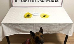 Nevşehir’de jandarma ekiplerinin yol kontrolünde uyuşturucu madde ele geçirildi.