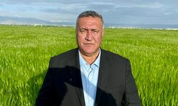 Gürer’den Sert Çıkış: “Buğday Fiyatı Açıklanmazsa Çiftçi Tarlayı Bırakacak”