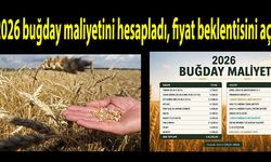 Çiftçi 2026 buğday maliyetini hesapladı, fiyat beklentisini açıkladı