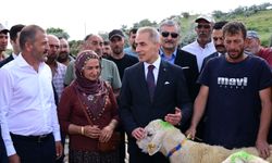 Nevşehir’de Yetiştiricilere 100 Baş Damızlık Koç Desteği