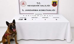 Nevşehir'de Jandarmadan Narkotik Operasyonu: 248 Kök Kenevir ve Uyuşturucu Madde Ele Geçirildi.