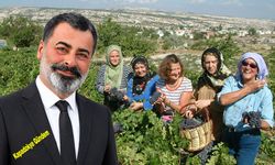 Ürgüp’te Festival Heyecanı Başlıyor! Tarih Belli Oldu.