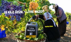 15 KİLO ÜZÜM, 1 LİTRE MAZOT