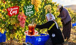 1 Bardak Çay, 1,5 Kilo Üzüm! Nevşehir’de Çiftçi İsyanda.