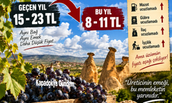 ÜRGÜP’TE ÜZÜM FİYATI TEPKİSİ: “ÜRETİCİNİN EMEĞİ YOK SAYILIYOR”