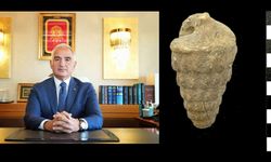 Külhöyük’te Tetis Denizi’nin 66 yıllık fosili bulundu.