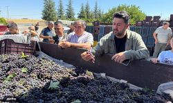 Milletvekili Çalışkan, Nevşehir’de üzüm üreticisinin fiyat beklentisi için harekete geçildi.