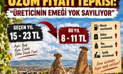ÜRGÜP’TE ÜZÜM KRİZİ BÜYÜYOR! ÜRETİCİ İSYANDA: “BU HESABIN İÇERİSİNDE BİZ YOKUZ!”