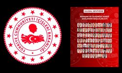Yurt Dışına Kaçan 76 Aranan Şahıs Türkiye’ye Getirildi.