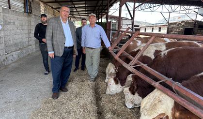 Gürer: “Süt üreticisinin zararına üretim yaptığı itiraf edildi”