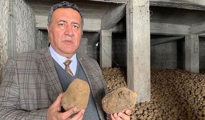 PATATES İÇİN ZAMAN DARALIYOR