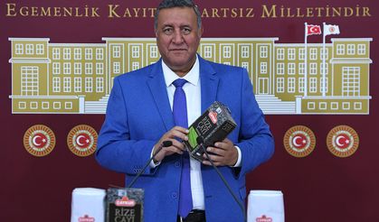 ÇAY ÜRETİCİLERİ HÜSRANA UĞRADI